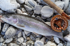 Erlebnisse rund um die Fischerei (Probelauf)