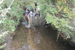 IMG_9200