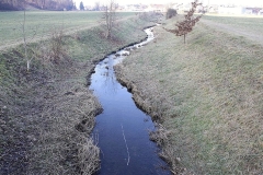 Abfischen Plainbach Jan. 2025