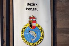 01a-3