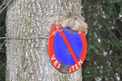 In der Lieferinger Au gibt es einen Schilder (fressenden) Wald