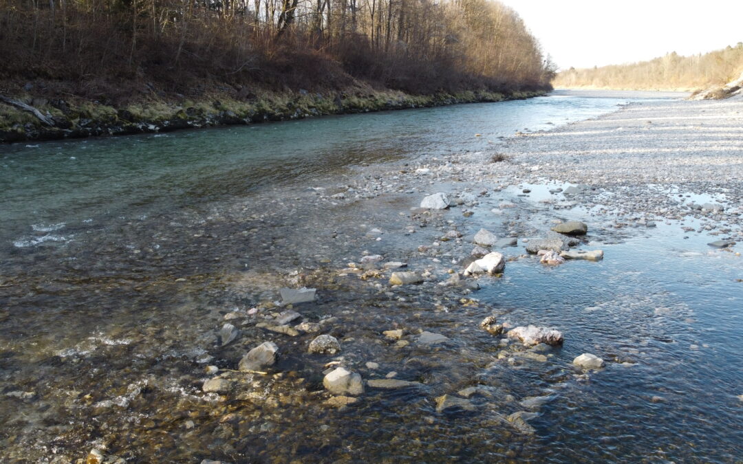 Untere Saalach (Revier 1B)