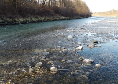 Untere Saalach (Revier 1B)