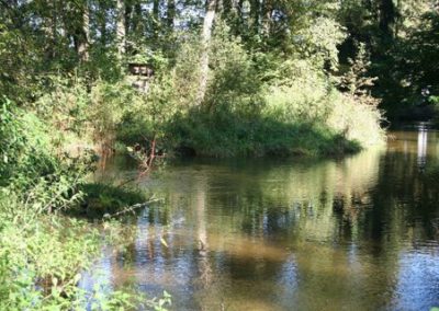 Untere Glan mit Glanüberwasser und Lieferinger Mühlbach (Revier 8)