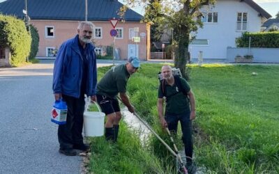 Teilabfischung Fischerwirtsbach wg. Brückenneubau 