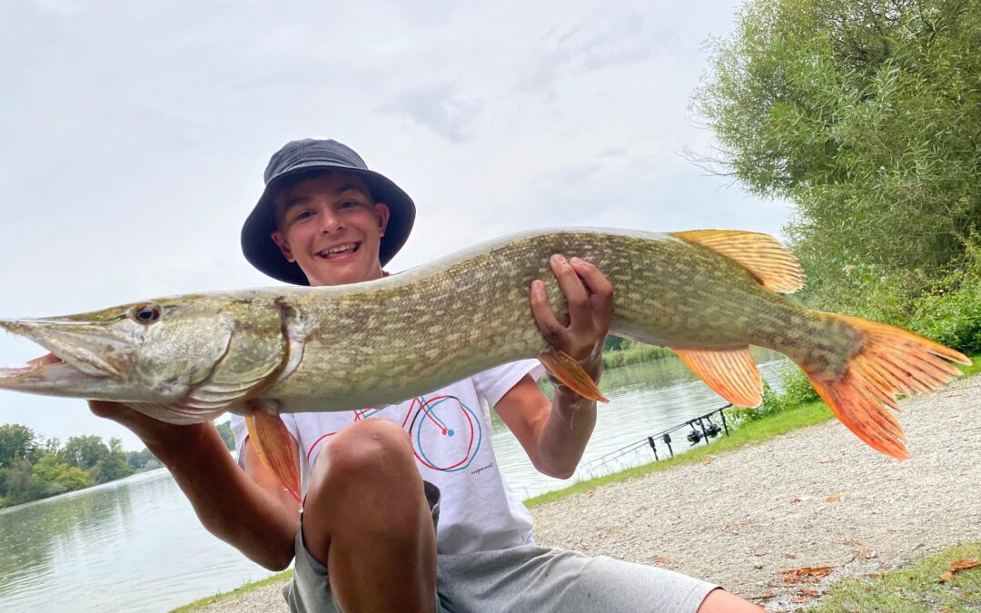 Toller Fang aus dem Leopoldskroner Weiher