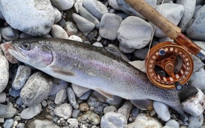 Erlebnisse rund um die Fischerei