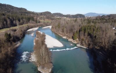 Die Saalach bei Käferheim – unser Fliegenrevier –