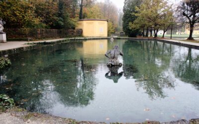 Pfenninger’s Störe (Videobeitrag)