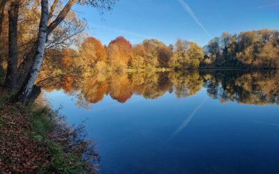 Der goldene Herbst am Karlsbaderweiher
