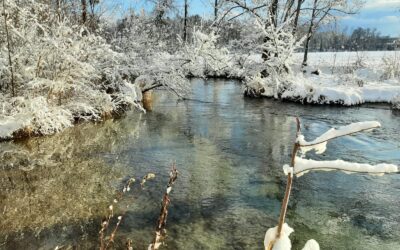 Winterzauber am Siezenheimer Mühlbach