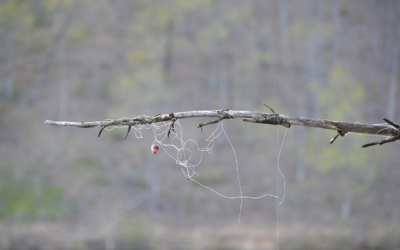 Knoten im Fotoalbum – Behebung und Ergänzung in Kürze