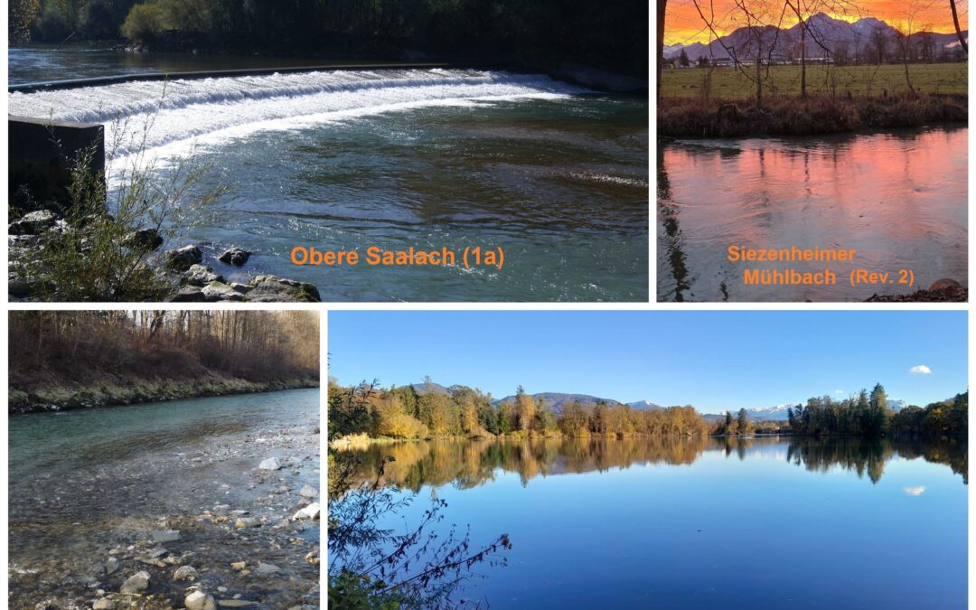 Jahreslizenansuchen für folgende Gewässer