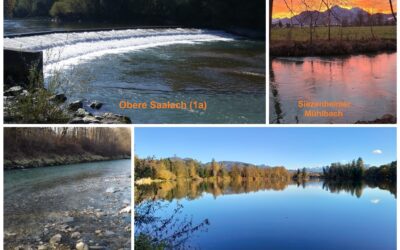 Jahreslizenansuchen für folgende Gewässer