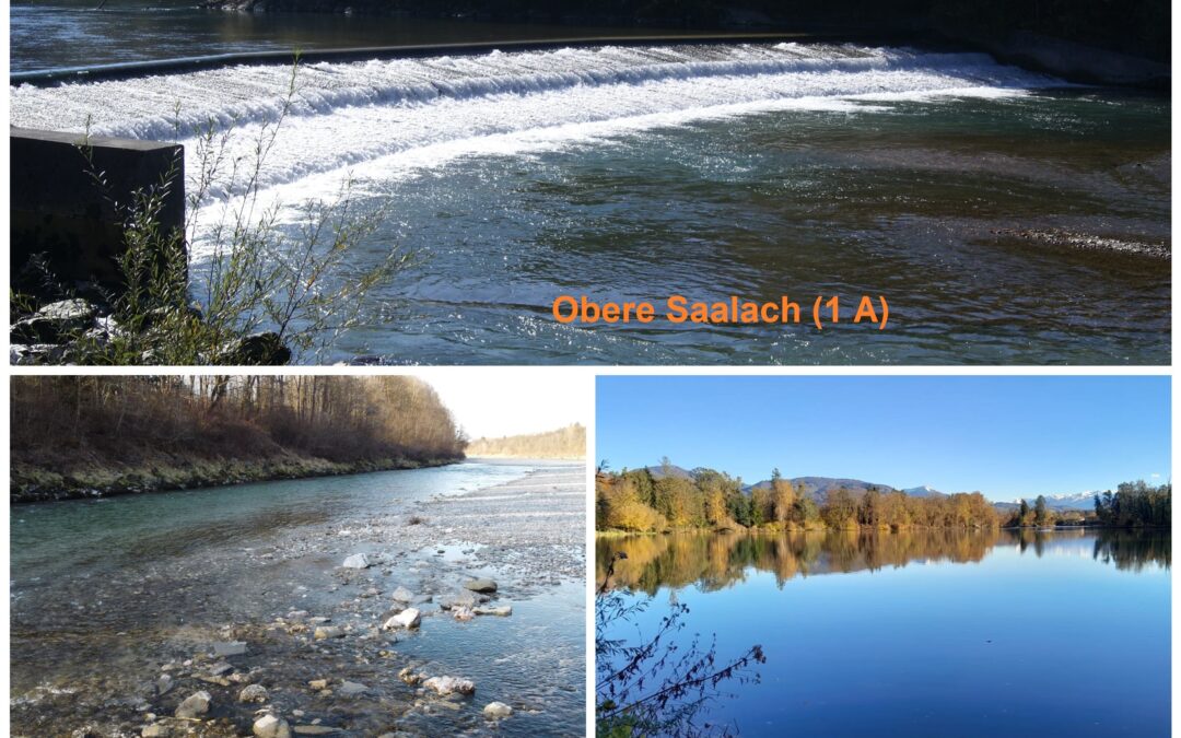 Jahreslizenansuchen für folgende Gewässer