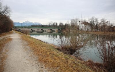 Der Frühjahrsbesatz wird laufend eingebracht