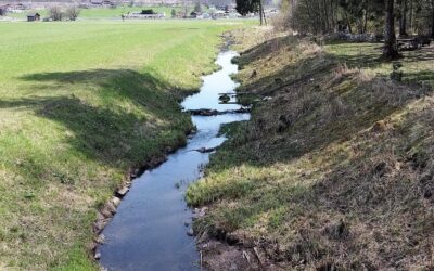 Frischer Wind in Pfenninger’s „Kinderstub’n“