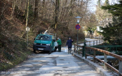 -Der Gersbach- Aufzucht in höchster Qualität !