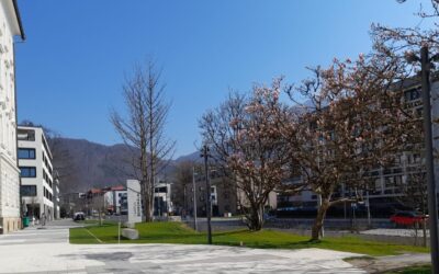 Der Gersbach beim neuen „Campus Borromäum“