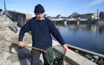 Die Salzach, ein Angelrevier der Peter Pfenninger Schenkung