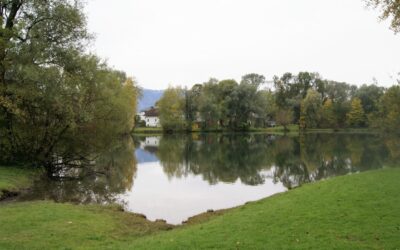 Arbeitseinsatz für die Fischerinnung
