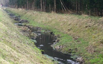 Naturnahe Aufzucht steht bei den Pfenninger’n hoch im Kurs
