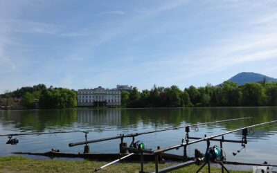 Fischen am Weltkuturerbe Leopoldskronerweiher