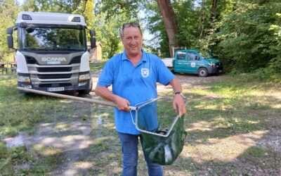 Laufend Besatzmaßnahmen in unseren Angelgewässern