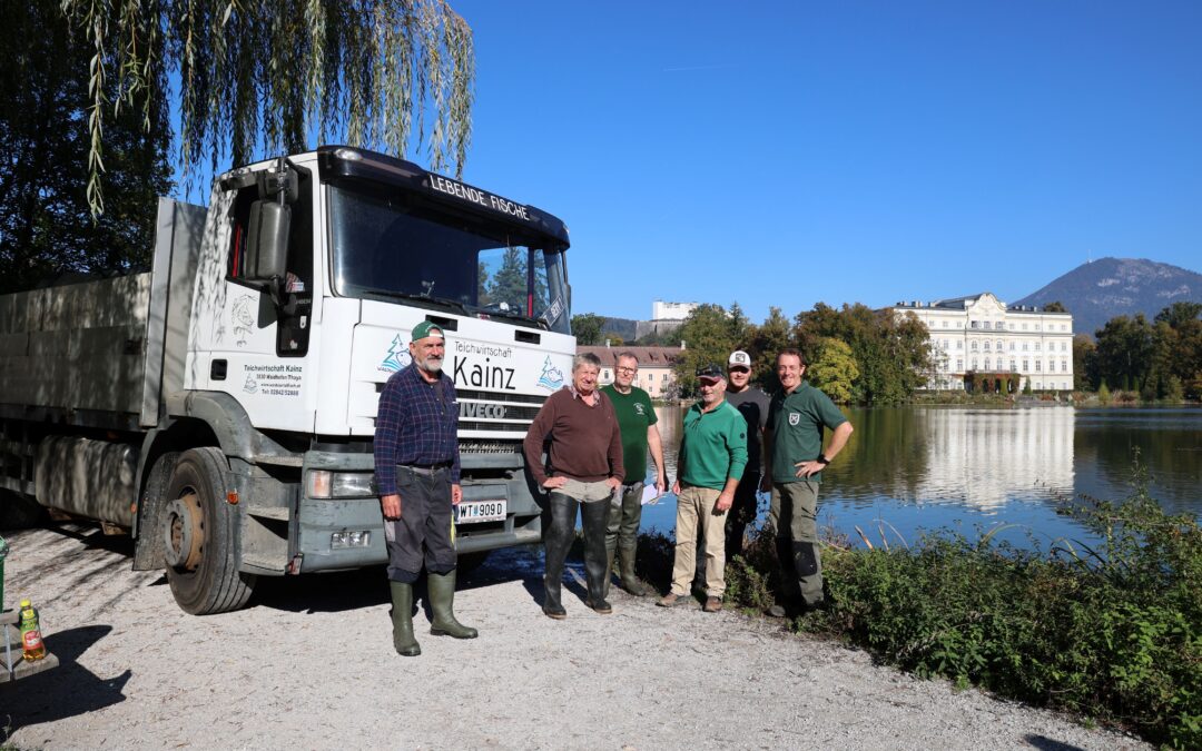 Kerngesund & vital, die „Waldviertler Karpfen“…….