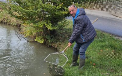 Herbsttage sind bei den „Pfenninger’n“ auch Besatztage